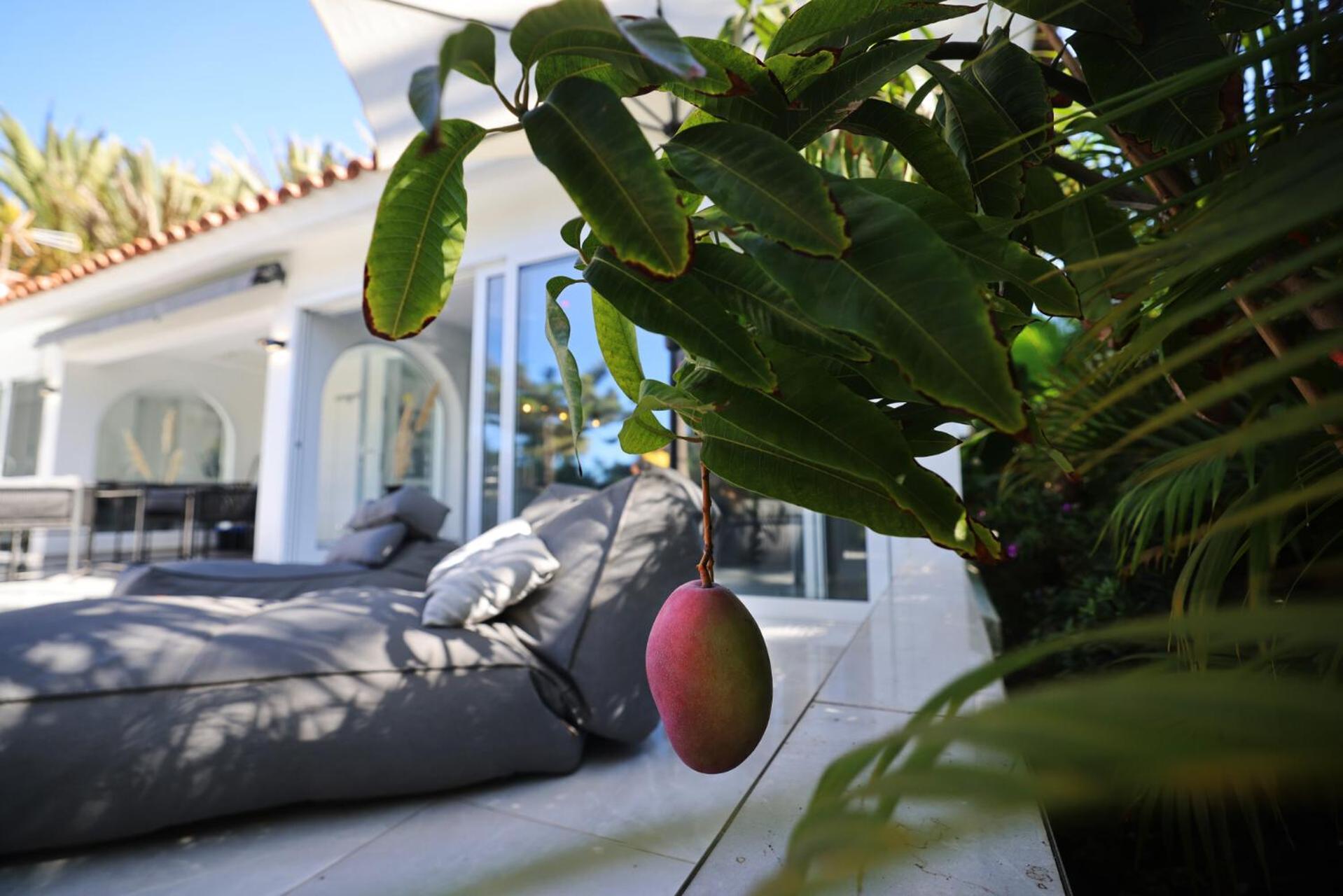 Sun Club Luxus Bungalow Projecto 65 Maspalomas  Exteriér fotografie